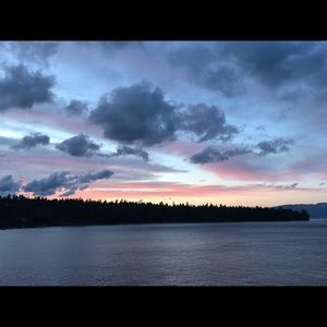 Meet your Posher, Martha